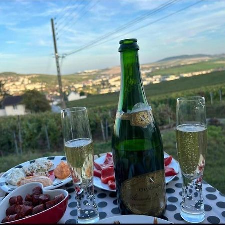 Dans Les Vignes D'Epernay Villa ภายนอก รูปภาพ