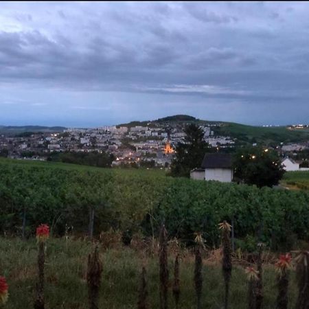 Dans Les Vignes D'Epernay Villa ภายนอก รูปภาพ