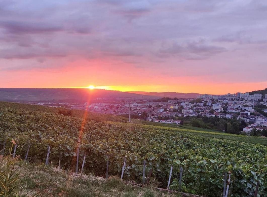 Dans Les Vignes D'Epernay Villa ภายนอก รูปภาพ