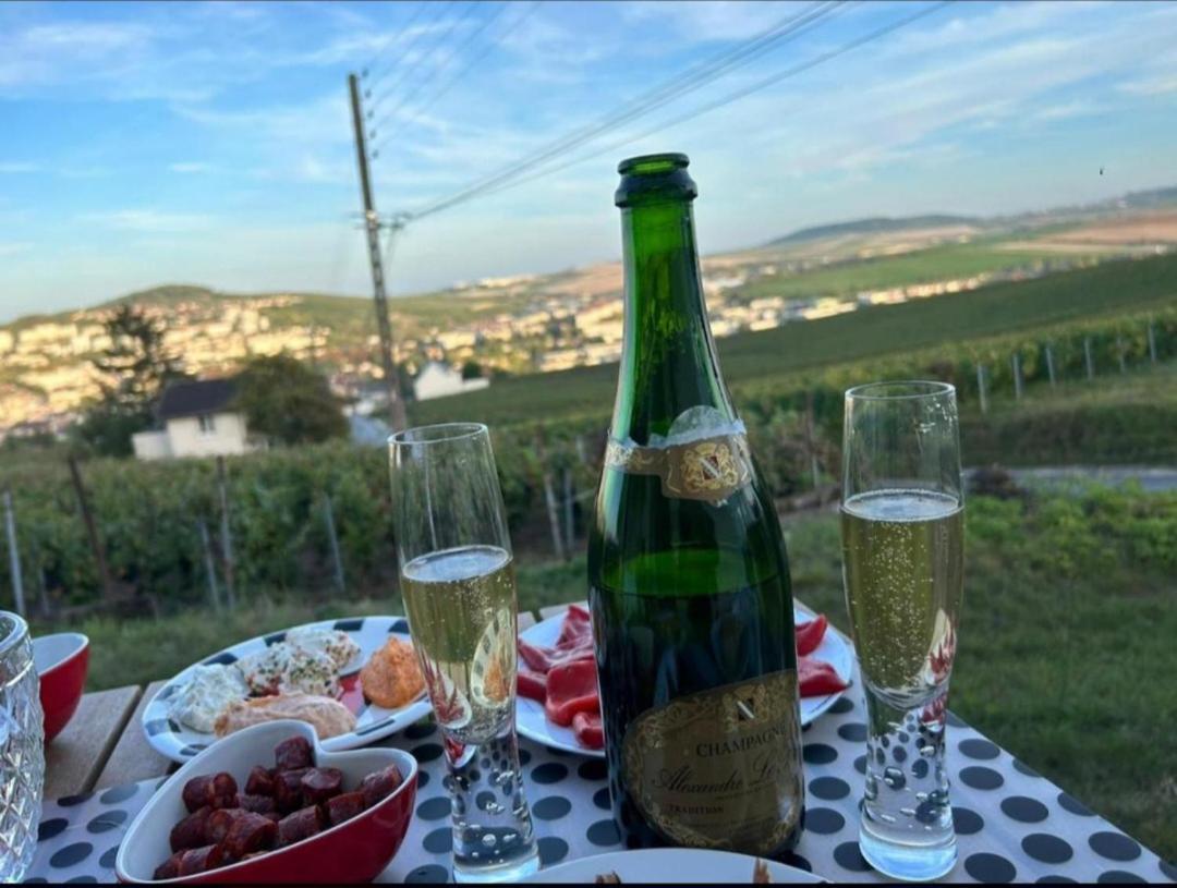 Dans Les Vignes D'Epernay Villa ภายนอก รูปภาพ