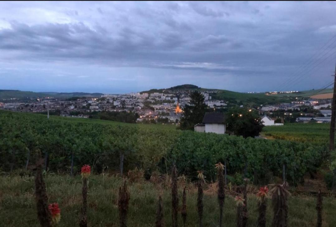 Dans Les Vignes D'Epernay Villa ภายนอก รูปภาพ